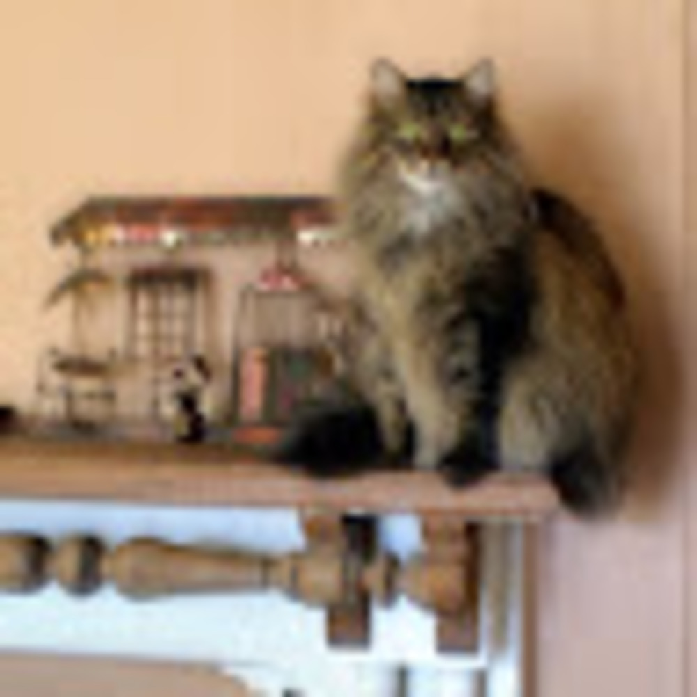 Meet your Posher, Kate
